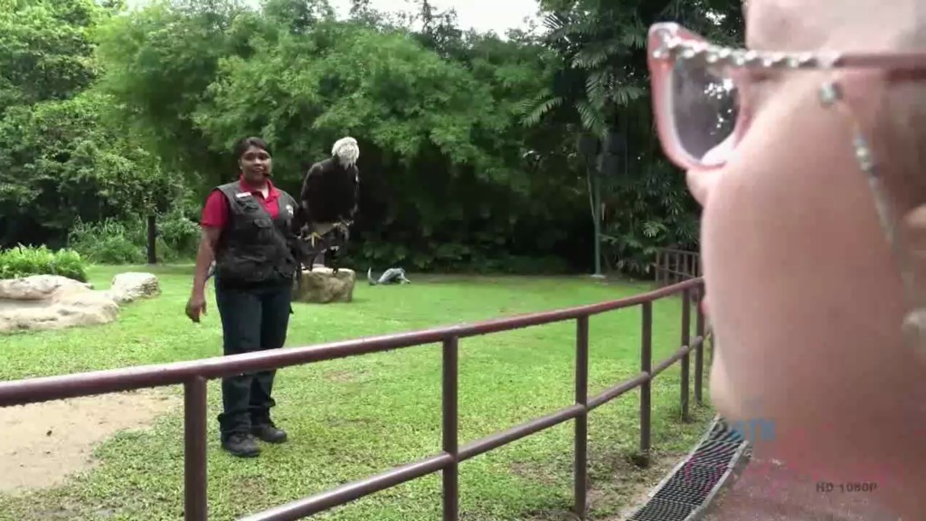 ATKGirlfriends - Elena Koshka 7