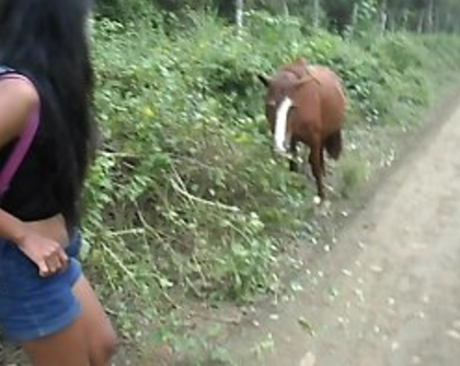 Horse Creampie Porn - Horse-creampie Videos