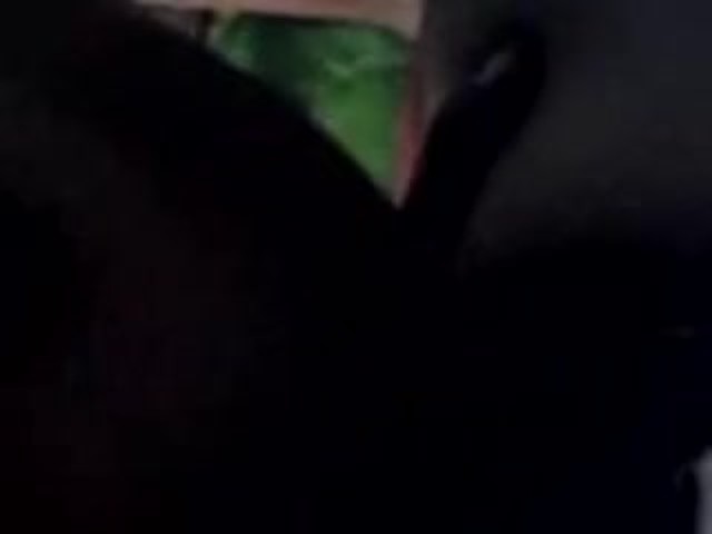 xvideos.com_ad98ccc11258742c708cc684f5aa4011.mp4